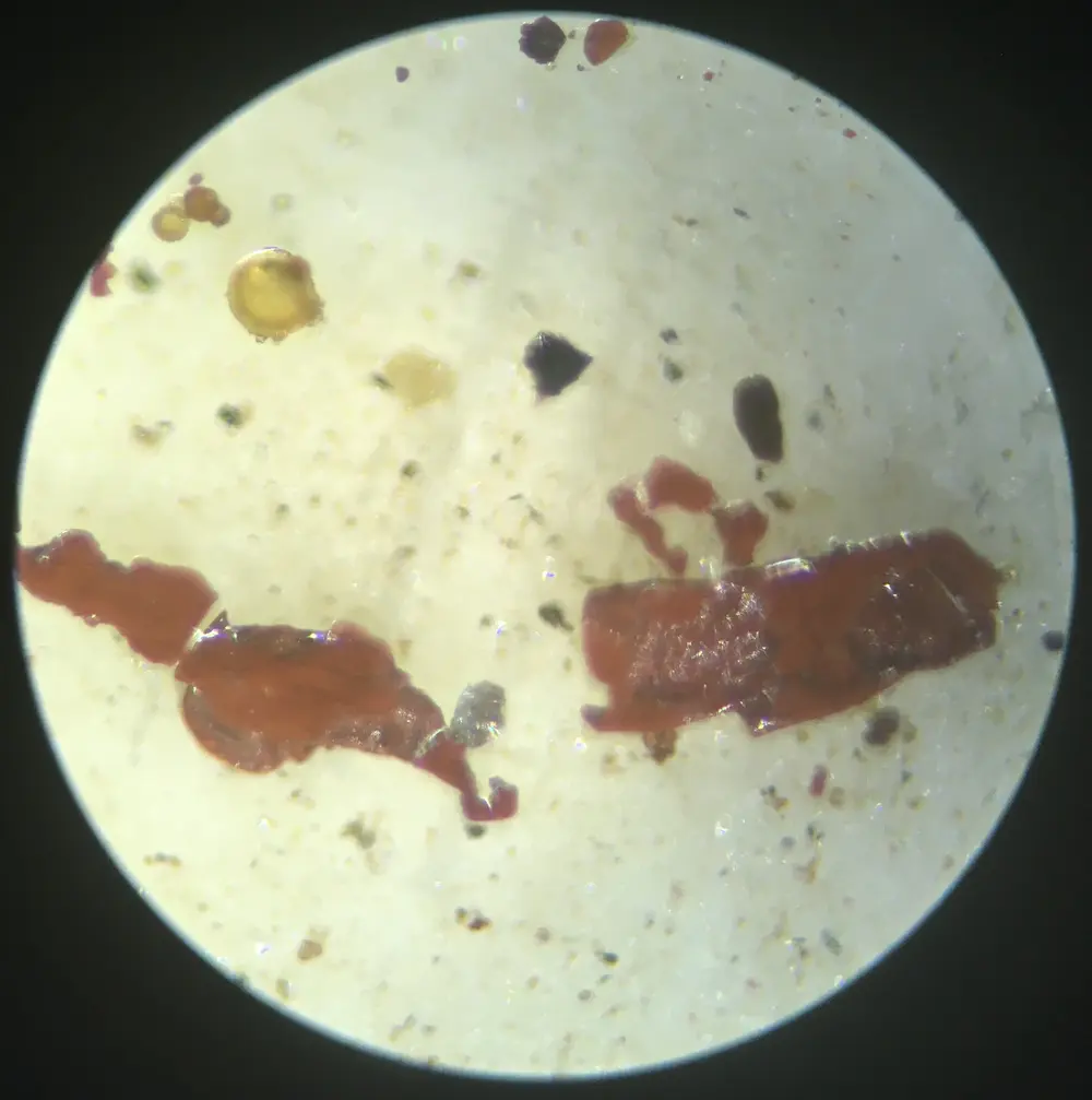 Vista al microscopio de una muestra de aceite usado, con partículas metálicas y contaminantes en suspensión